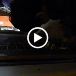 P1090680.MOV