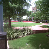 IMG00272-20110729-1325.jpg