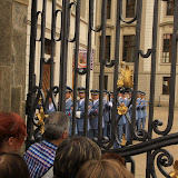 IMG_5529.JPG