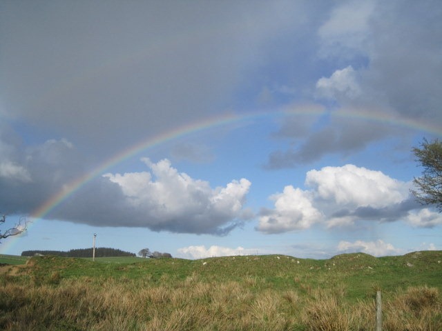 [IMG_11794.jpg]
