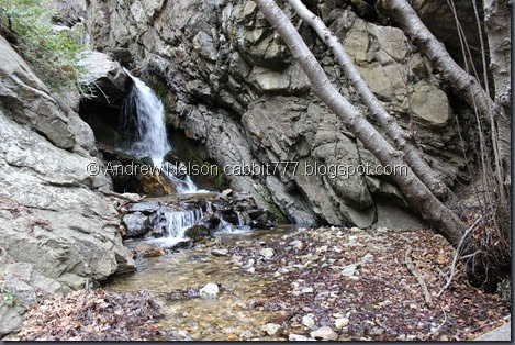 IMG_2413 IMG_2413