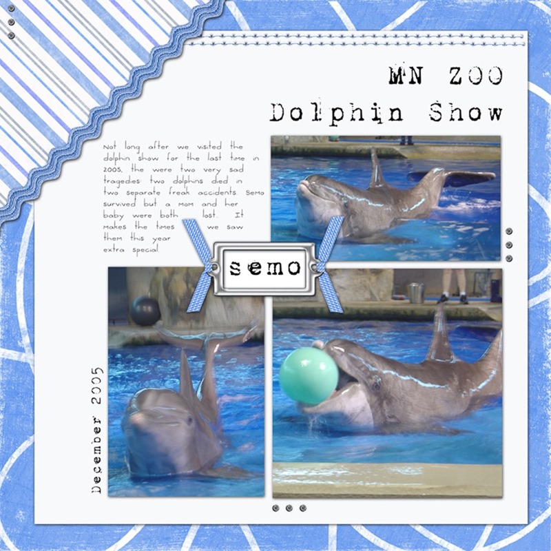MN Zoo Dolphin Show