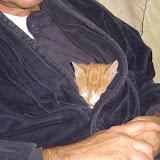 Tink is snuggled in Brians robe.