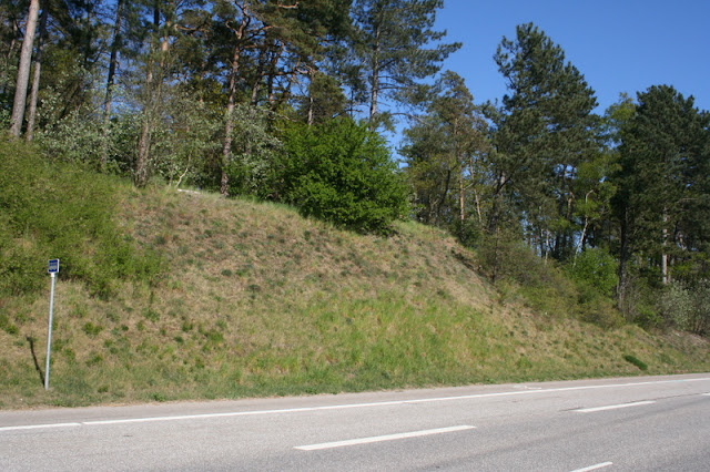 IMG_4682_naestved_vordingborg.JPG