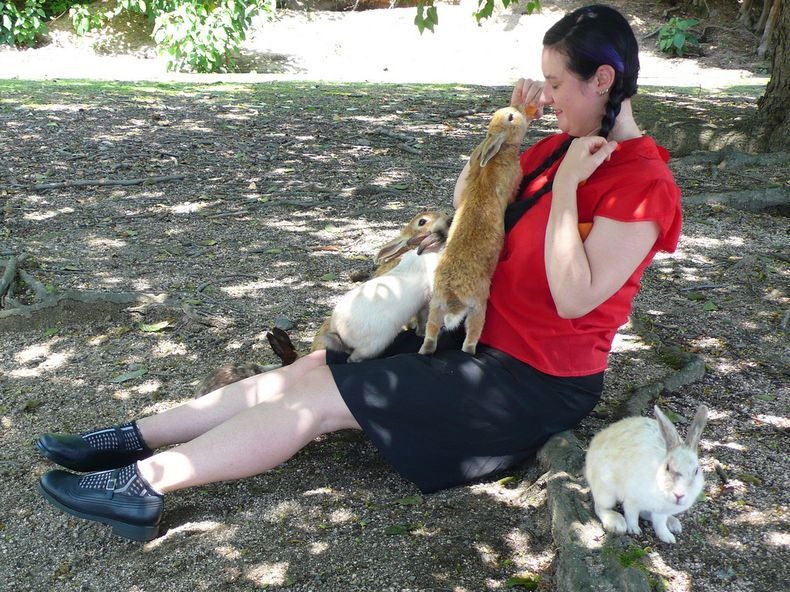 okunoshima-6 okunoshima-6