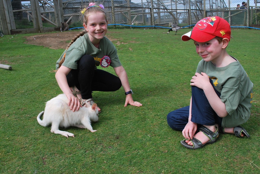 [DSC_0423%255B7%255D.jpg]