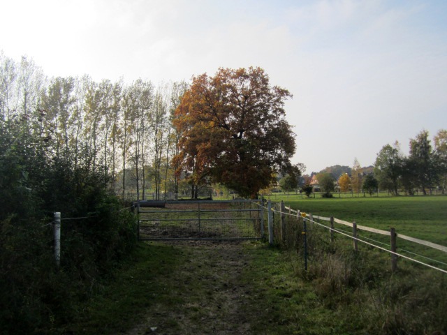 [IMG_1087%255B3%255D.jpg]