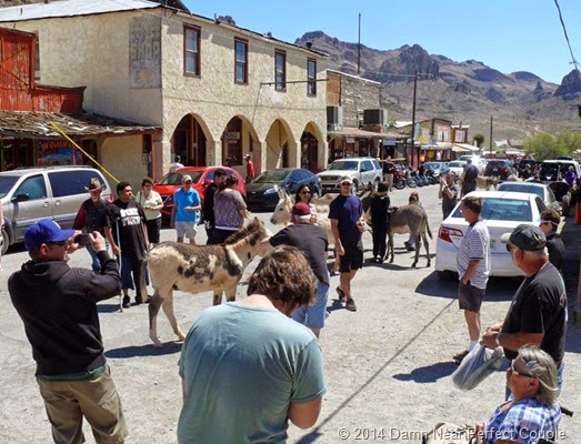 Oatman Street Scene