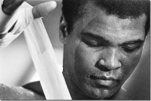 muhammad-ali-portraits- muhammad-ali-portraits-