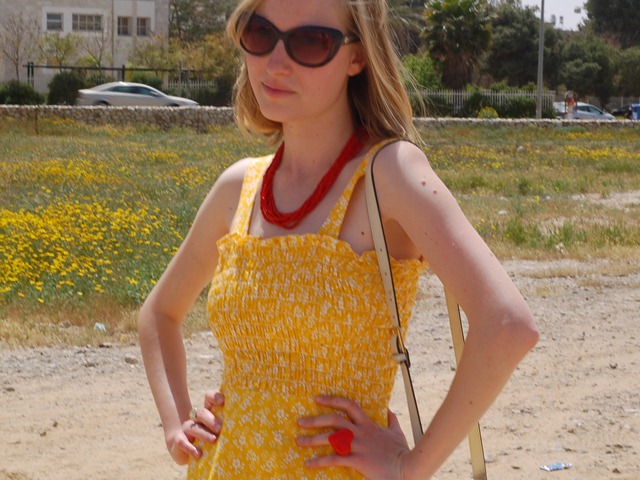 [DSC_0460a3.jpg]