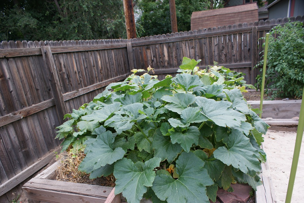 [DSC08452%255B4%255D.jpg]