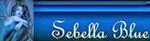 signature (1) signature (1)