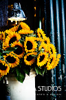 Pike Place