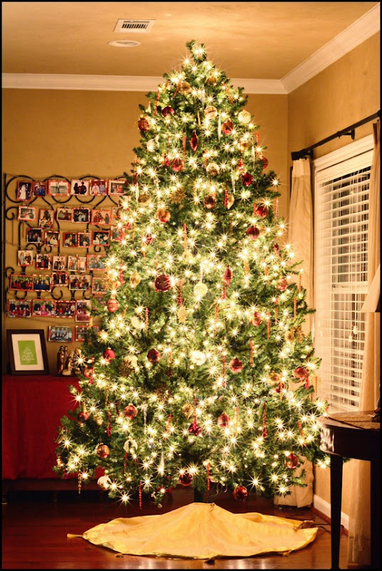 Christmas Tree 2011 (6)