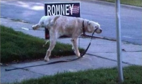 [viral-picdump-pics-28423f%255B2%255D.jpg]