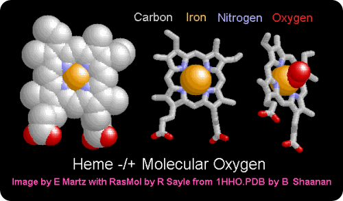 rasmol hemox