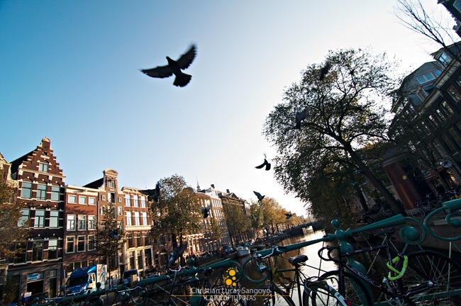 The Canals of Amsterdam