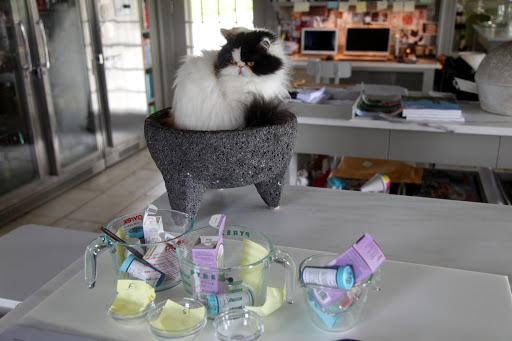 Look at all of this medication and it's all for the dogs!  The kitchen has become an infirmary!