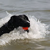 IMG_9437.JPG