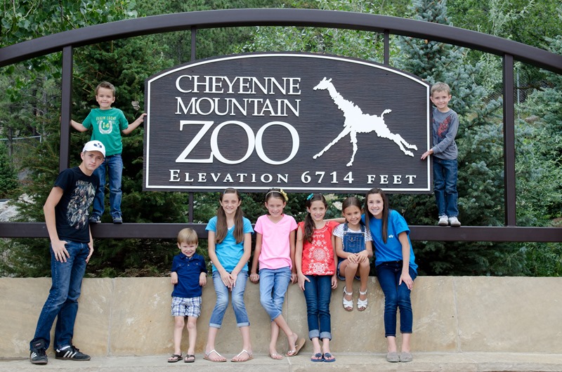 zoo-1