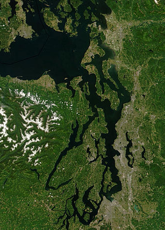 puget sound2.png puget sound2.png