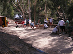 p1240110132(3).jpg