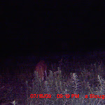 MDGC0249.JPG