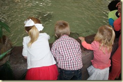 IMG_8128 IMG_8128