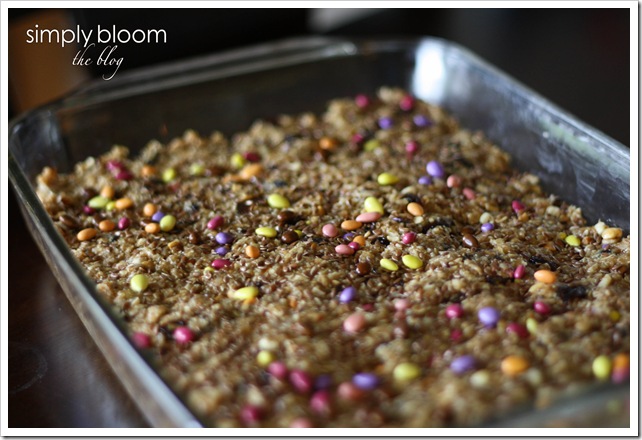 chocolate sunflower munchies (2 of 1)