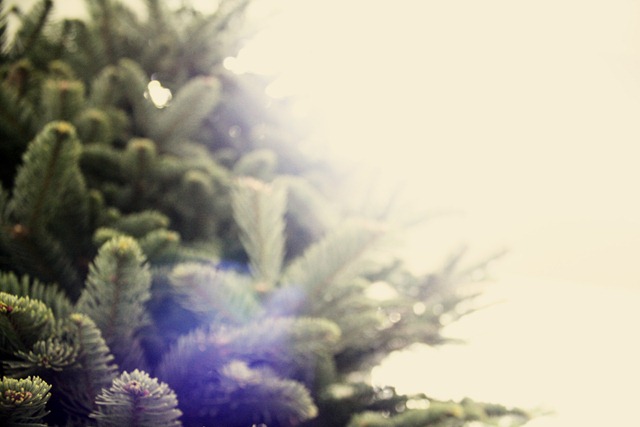 Christmas sneek peek 2011 011 copy