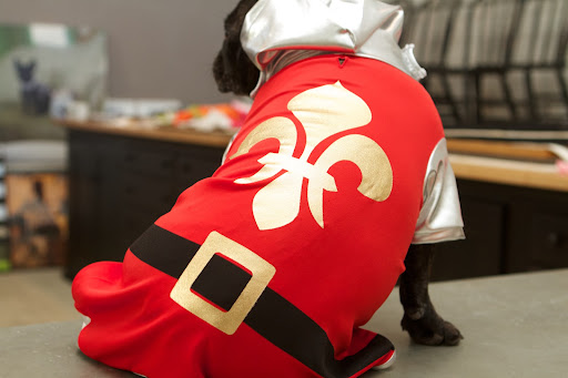 I'll just slip into this Knight Costume of shining armor.