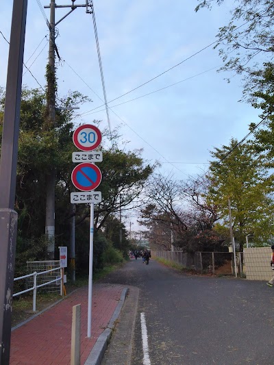 2014-11-16 07.07.05.jpg
