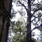 09080019.JPG