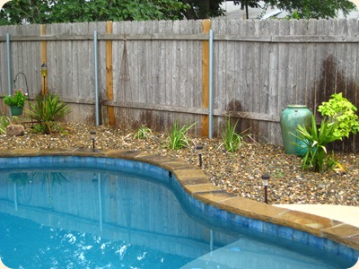 IMG_3487 IMG_3487