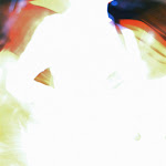 flash.jpg