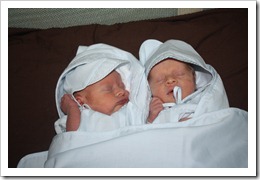 IMG_6361 IMG_6361