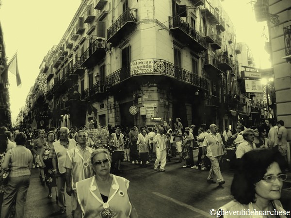 [DSC03434%255B4%255D.jpg]