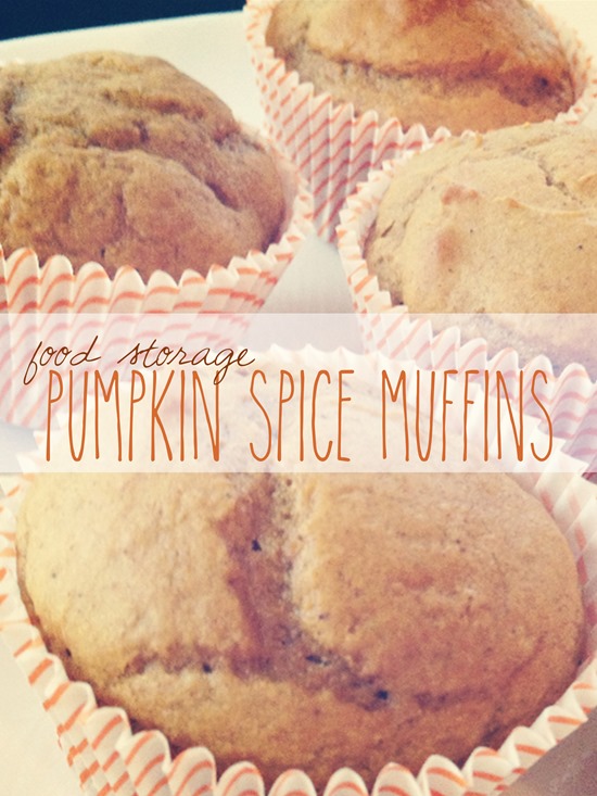 Food Storage Pumpkin Spice Muffins