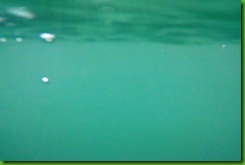 IMG_0239 IMG_0239
