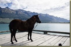 Ponywharf-7