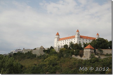 IMG_0422 IMG_0422