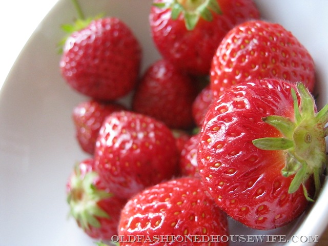 [Picture0414.jpg]
