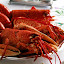 Homards bretons