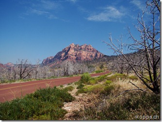 110904 Zion NP (4)