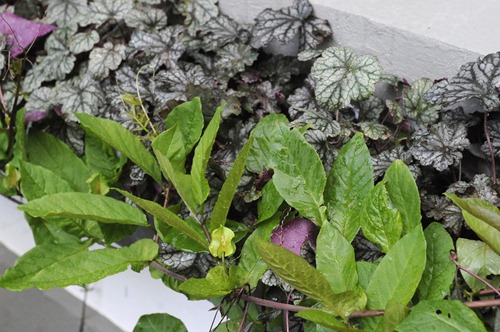 [20111018_131625%255B10%255D.jpg]