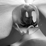 IMG_6188.jpg