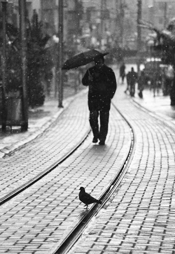 88bfa740c0c31eaa029556124c698374