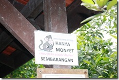 IMG_1380 IMG_1380