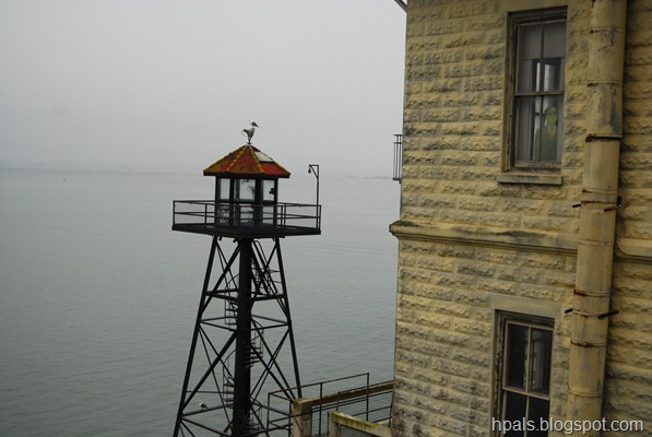 DSC_1765 DSC_1765