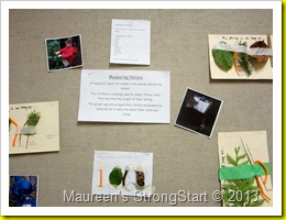 IMG_2863 IMG_2863
